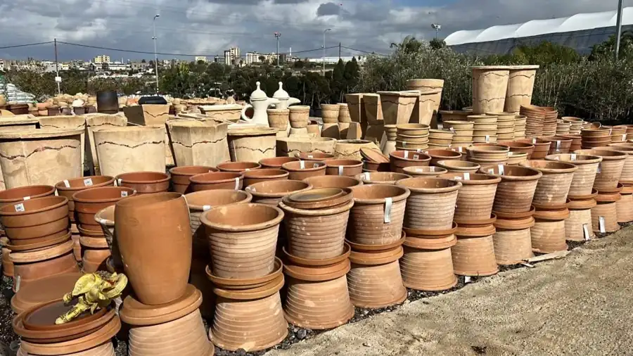 מראה מהמשתלה באלפי מנשה — צילום 11