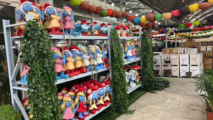 מראה מהמשתלה באלפי מנשה — צילום 21