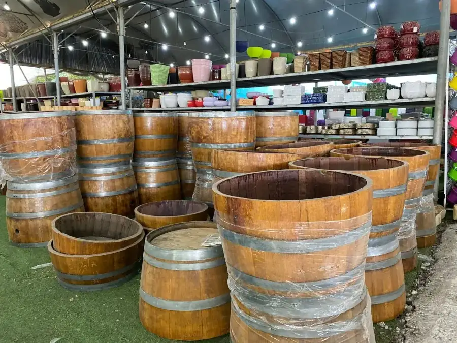 מראה מהמשתלה באלפי מנשה — צילום 34