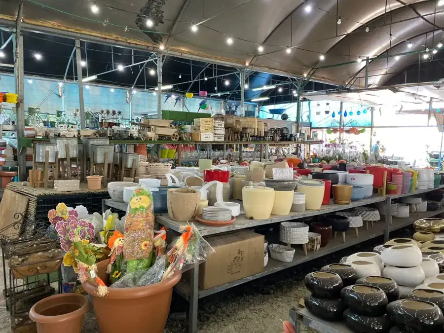 מראה מהמשתלה באלפי מנשה — צילום 36