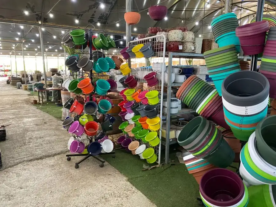 מראה מהמשתלה באלפי מנשה — צילום 43