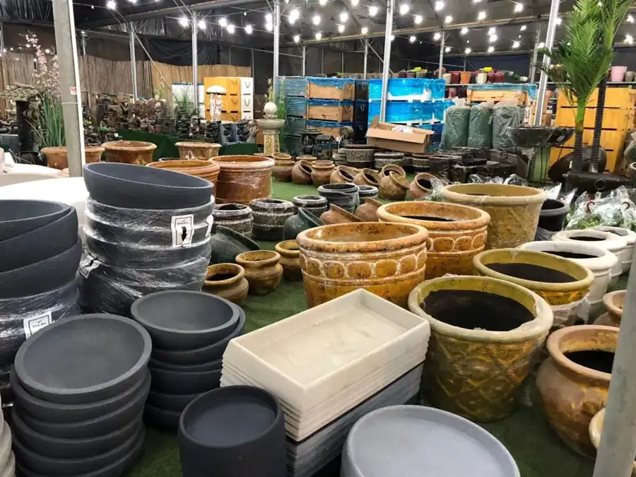 מראה מהמשתלה באלפי מנשה — צילום 45